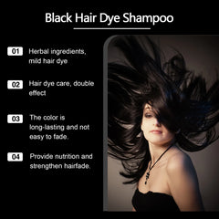 Hoegoa 3-in-1 Herbal Black Hair Dye Shampoo
