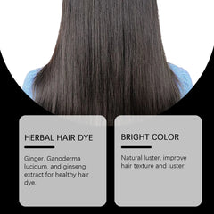 Hoegoa 3-in-1 Herbal Black Hair Dye Shampoo