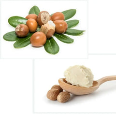 Dimollaure Organic Shea Butter Oil – Moisturizing & Nourishing Body Care (50g)