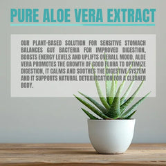 Aloe Vera Capsules – Digestive, Immune & Energy Support Supplement