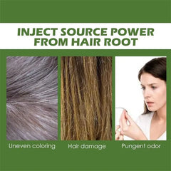 Herbal Hair Dye Shampoo – Natural Gray & White Hair Coverage with Plant Extracts