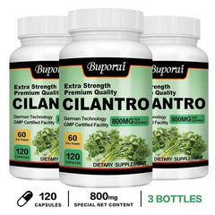Cilantro Supplement – Antioxidant-Rich Natural Detox & Cleansing Support