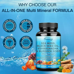 Sea Moss & Herbal Superblend – Bone, Joint, Digestive & Immune Support