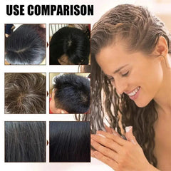 Herbal Hair Dye Shampoo – Natural Gray & White Hair Coverage with Plant Extracts