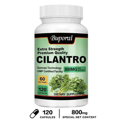 Cilantro Supplement – Antioxidant-Rich Natural Detox & Cleansing Support