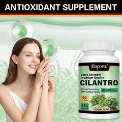 Cilantro Supplement – Antioxidant-Rich Natural Detox & Cleansing Support