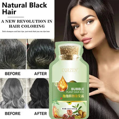 Herbal Hair Dye Shampoo – Natural Gray & White Hair Coverage with Plant Extracts