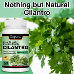 Cilantro Supplement – Antioxidant-Rich Natural Detox & Cleansing Support
