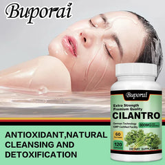 Cilantro Supplement – Antioxidant-Rich Natural Detox & Cleansing Support