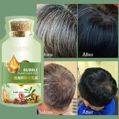 Herbal Hair Dye Shampoo – Natural Gray & White Hair Coverage with Plant Extracts