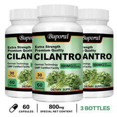 Cilantro Supplement – Antioxidant-Rich Natural Detox & Cleansing Support