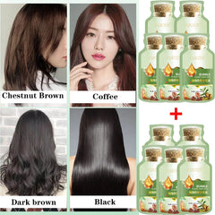 Herbal Hair Dye Shampoo – Natural Gray & White Hair Coverage with Plant Extracts