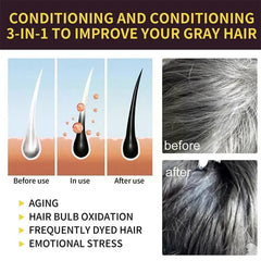 Herbal Hair Dye Shampoo – Natural Gray & White Hair Coverage with Plant Extracts