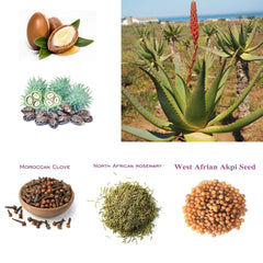 Artisanal Hair Nourishing Oil – Traditional Growth & Strengthening Care