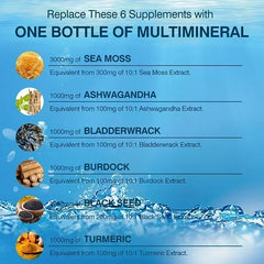 Sea Moss & Herbal Superblend – Bone, Joint, Digestive & Immune Support