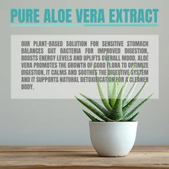 Aloe Vera Capsules – Digestive, Immune & Energy Support Supplement