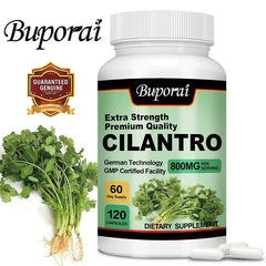 Cilantro Supplement – Antioxidant-Rich Natural Detox & Cleansing Support
