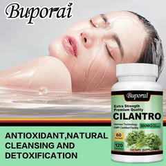 Cilantro Supplement – Antioxidant-Rich Natural Detox & Cleansing Support
