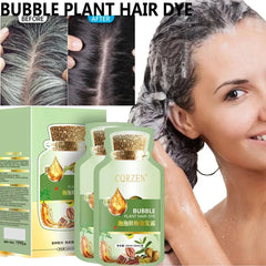 Herbal Hair Dye Shampoo – Natural Gray & White Hair Coverage with Plant Extracts